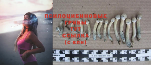 MDMA Premium VHQ Богородск
