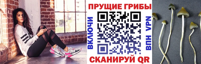 Псилоцибиновые грибы ЛСД  сайты даркнета состав  Череповец 